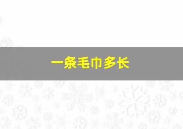 一条毛巾多长