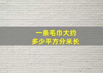 一条毛巾大约多少平方分米长