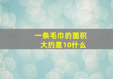 一条毛巾的面积大约是10什么