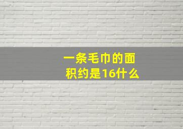 一条毛巾的面积约是16什么