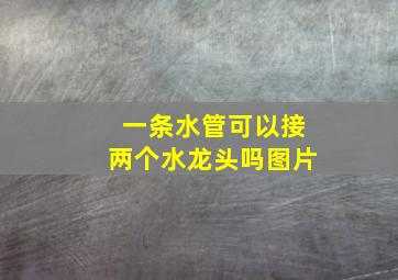 一条水管可以接两个水龙头吗图片