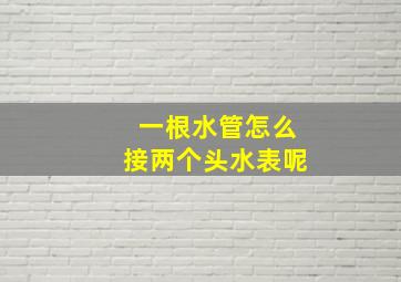 一根水管怎么接两个头水表呢