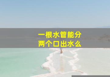 一根水管能分两个口出水么