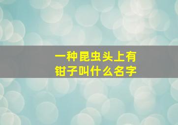 一种昆虫头上有钳子叫什么名字