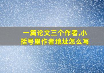 一篇论文三个作者,小括号里作者地址怎么写