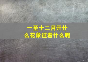 一至十二月开什么花象征着什么呢