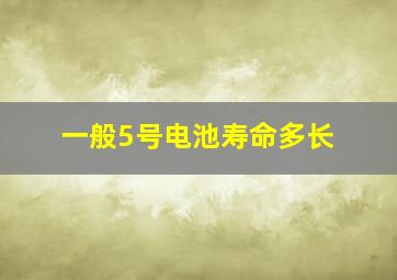 一般5号电池寿命多长