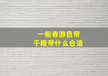 一般春游自带干粮带什么合适