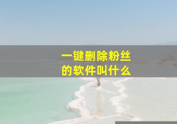 一键删除粉丝的软件叫什么