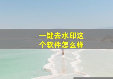 一键去水印这个软件怎么样