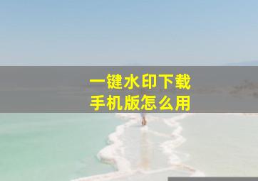 一键水印下载手机版怎么用