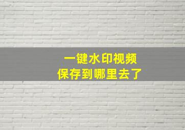 一键水印视频保存到哪里去了