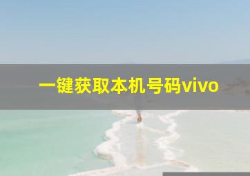 一键获取本机号码vivo