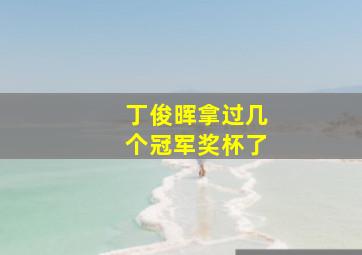 丁俊晖拿过几个冠军奖杯了