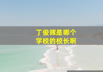 丁俊晖是哪个学校的校长啊