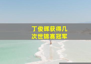 丁俊晖获得几次世锦赛冠军