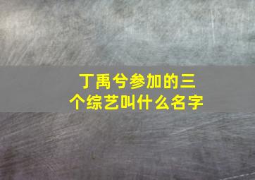 丁禹兮参加的三个综艺叫什么名字