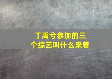 丁禹兮参加的三个综艺叫什么来着