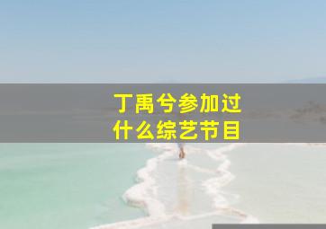 丁禹兮参加过什么综艺节目