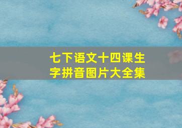 七下语文十四课生字拼音图片大全集