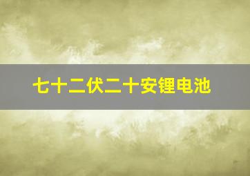 七十二伏二十安锂电池