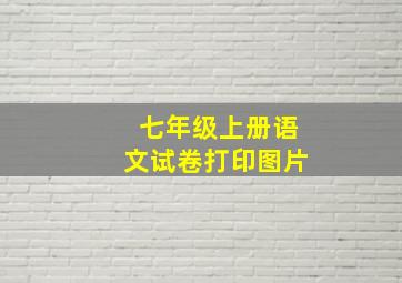 七年级上册语文试卷打印图片