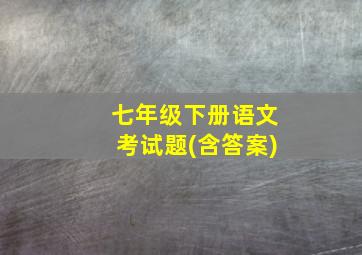 七年级下册语文考试题(含答案)