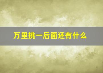 万里挑一后面还有什么