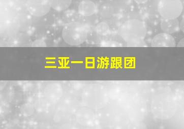 三亚一日游跟团