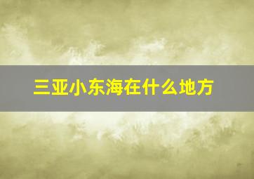 三亚小东海在什么地方