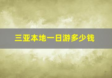 三亚本地一日游多少钱