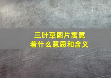 三叶草图片寓意着什么意思和含义