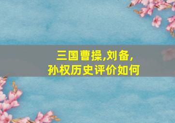 三国曹操,刘备,孙权历史评价如何