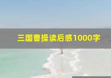 三国曹操读后感1000字