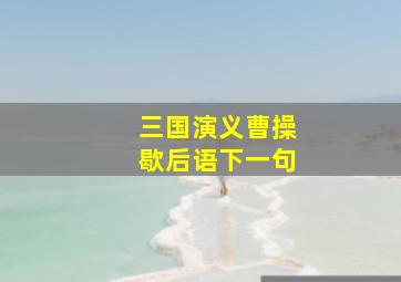 三国演义曹操歇后语下一句