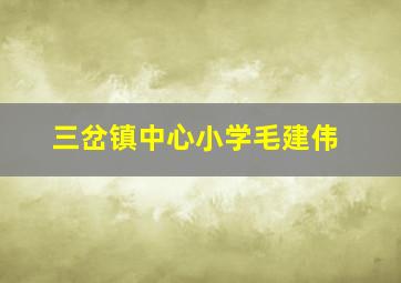 三岔镇中心小学毛建伟