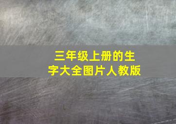 三年级上册的生字大全图片人教版