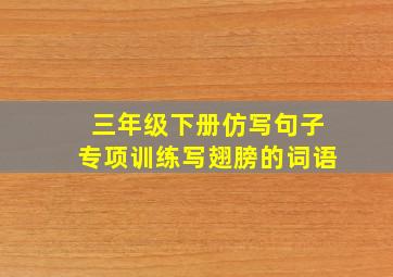 三年级下册仿写句子专项训练写翅膀的词语