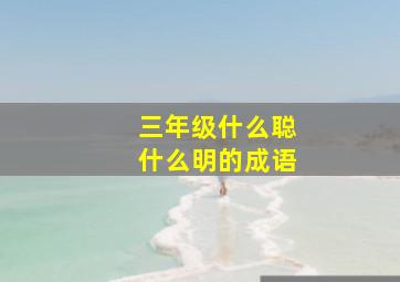 三年级什么聪什么明的成语