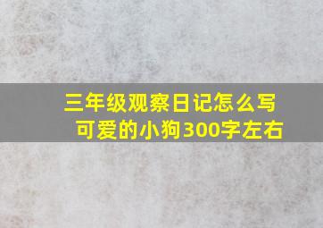 三年级观察日记怎么写可爱的小狗300字左右