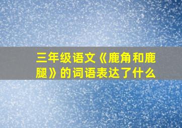 三年级语文《鹿角和鹿腿》的词语表达了什么