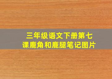 三年级语文下册第七课鹿角和鹿腿笔记图片