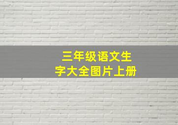 三年级语文生字大全图片上册