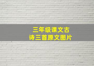 三年级课文古诗三首原文图片