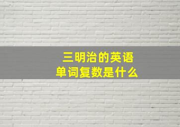 三明治的英语单词复数是什么