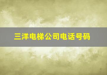 三洋电梯公司电话号码