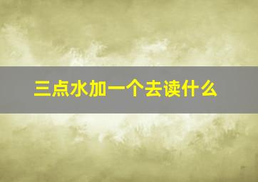 三点水加一个去读什么