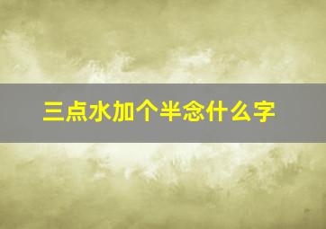 三点水加个半念什么字