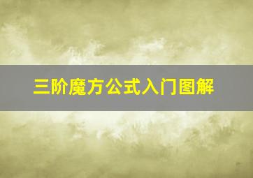 三阶魔方公式入门图解