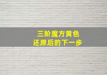 三阶魔方黄色还原后的下一步